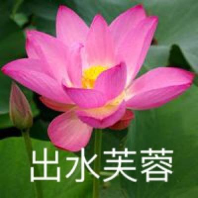 果盘决战三国变态版下载